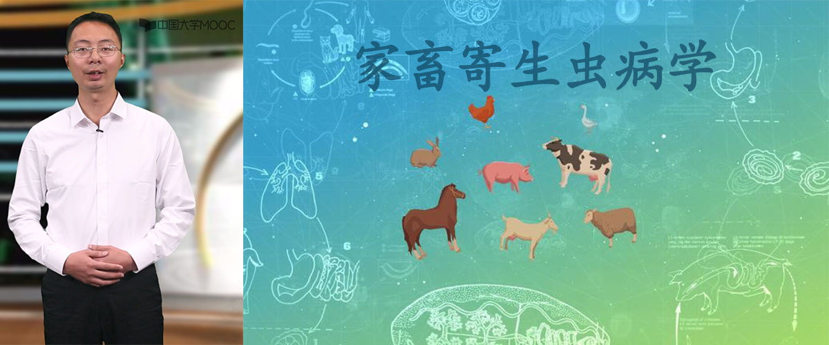 家畜寄生虫病学