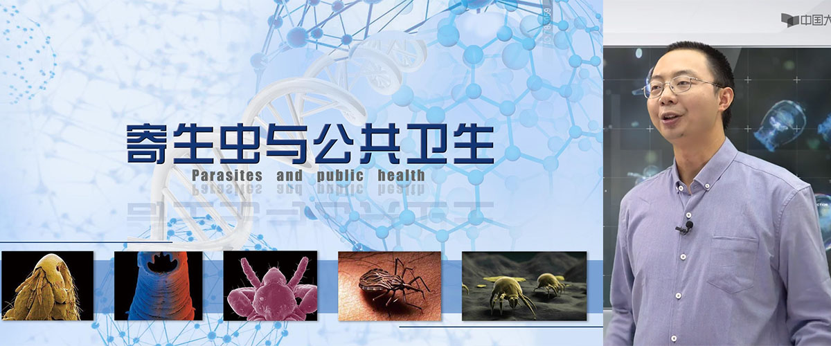 寄生虫与公共安全-福建农林